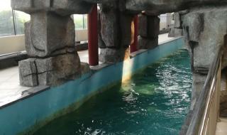 泰安天乐城需要准备的东西 泰安天乐城水世界